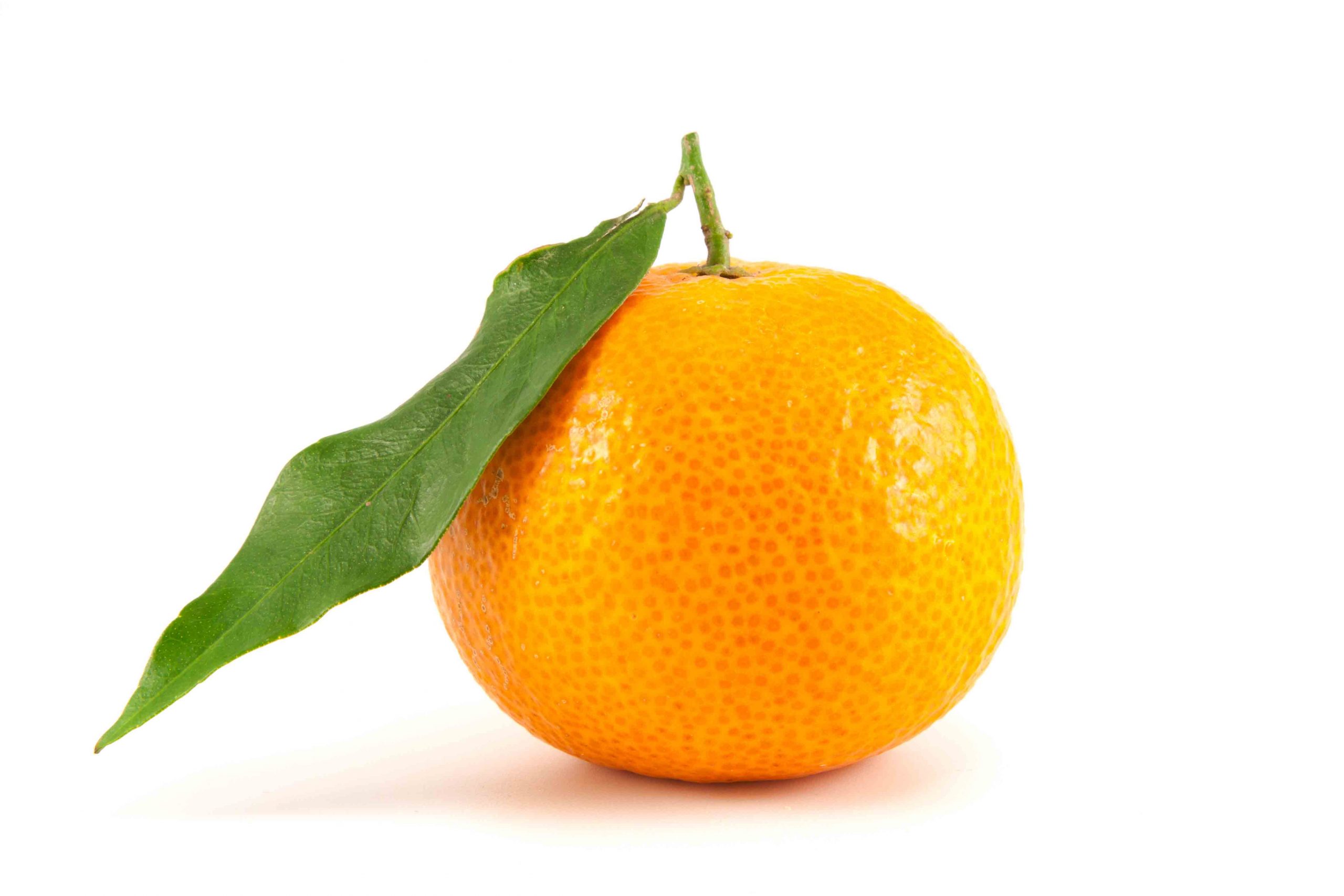 Orange mandarin with leaf